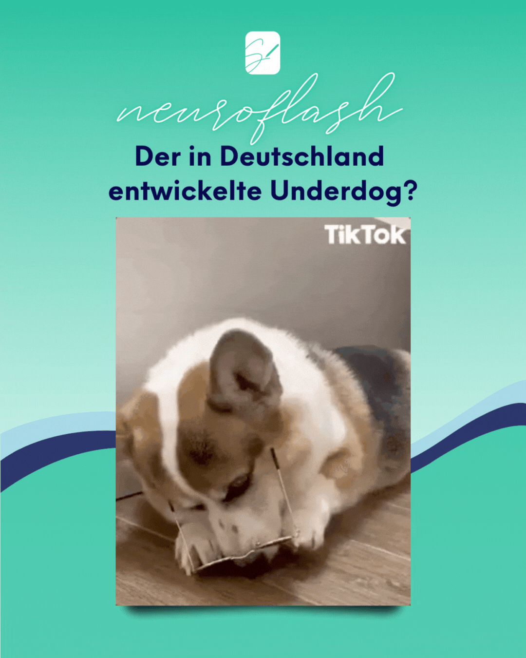 neuroflash – Der in Deutschland<br />
entwickelte Underdog?